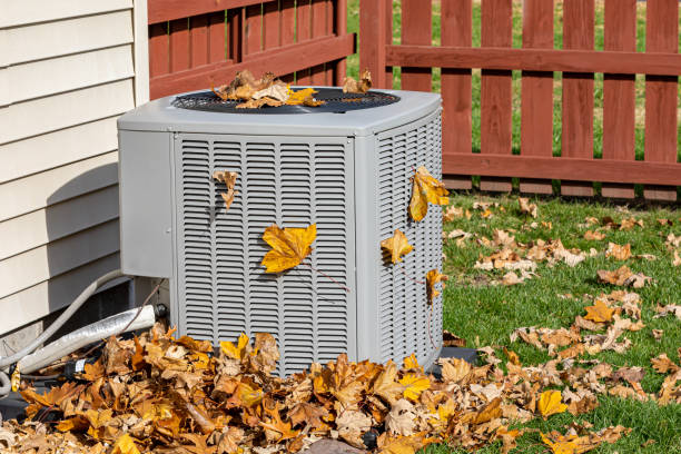 Best Local HVAC Companies  in Antelope, CA